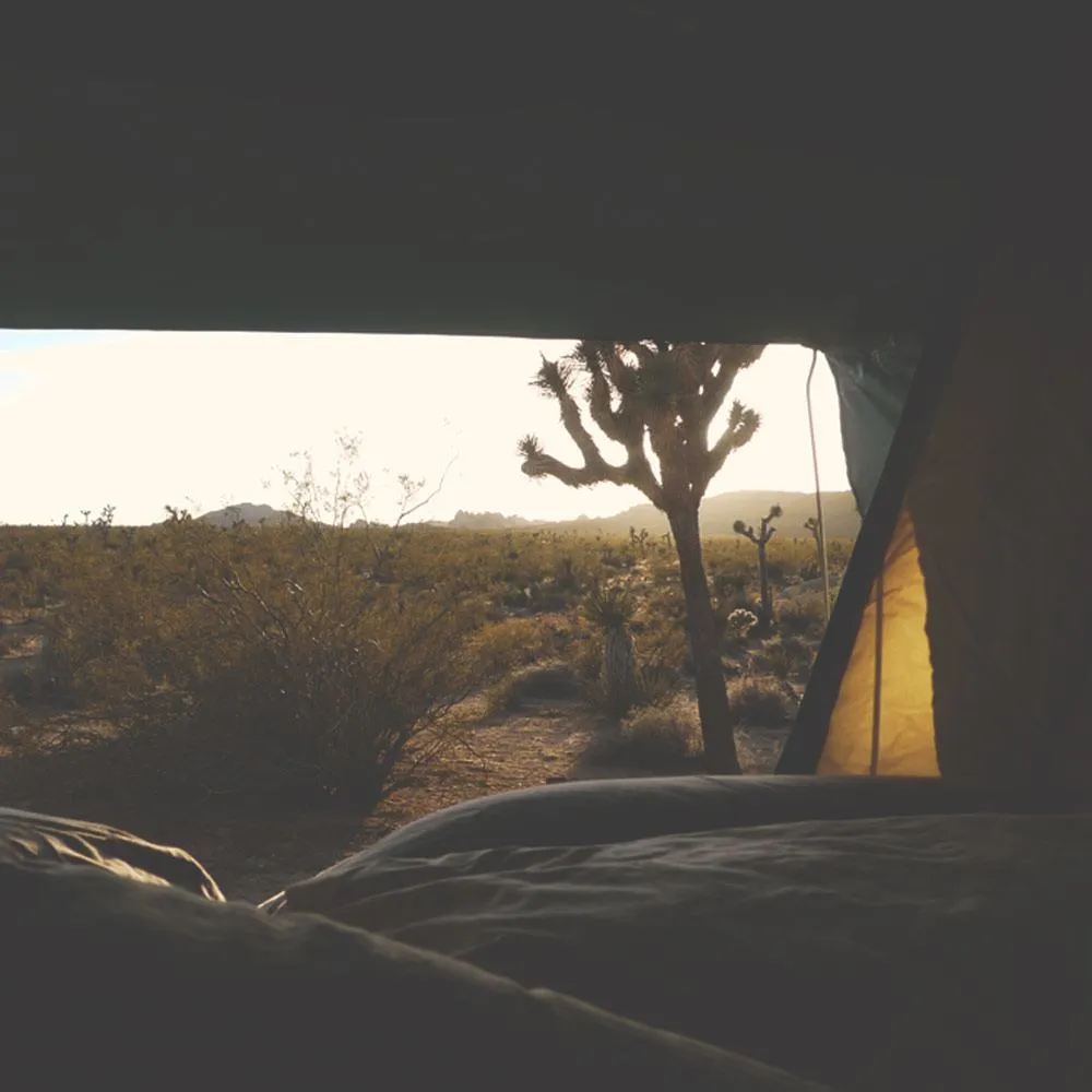 inside of the Front Runner roof top tent overlooking a beautiful desert in the morning light at dawn
